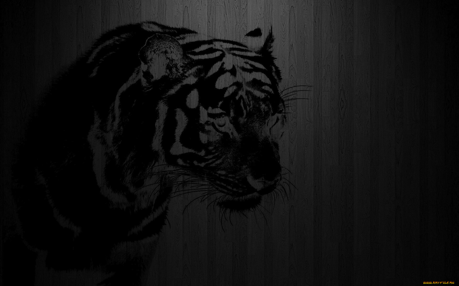 3 ,  , animals, 